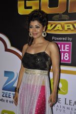 Debina Chaudhary at Gold Awards red carpet in Filmistan, Mumbai on 17th May 2014